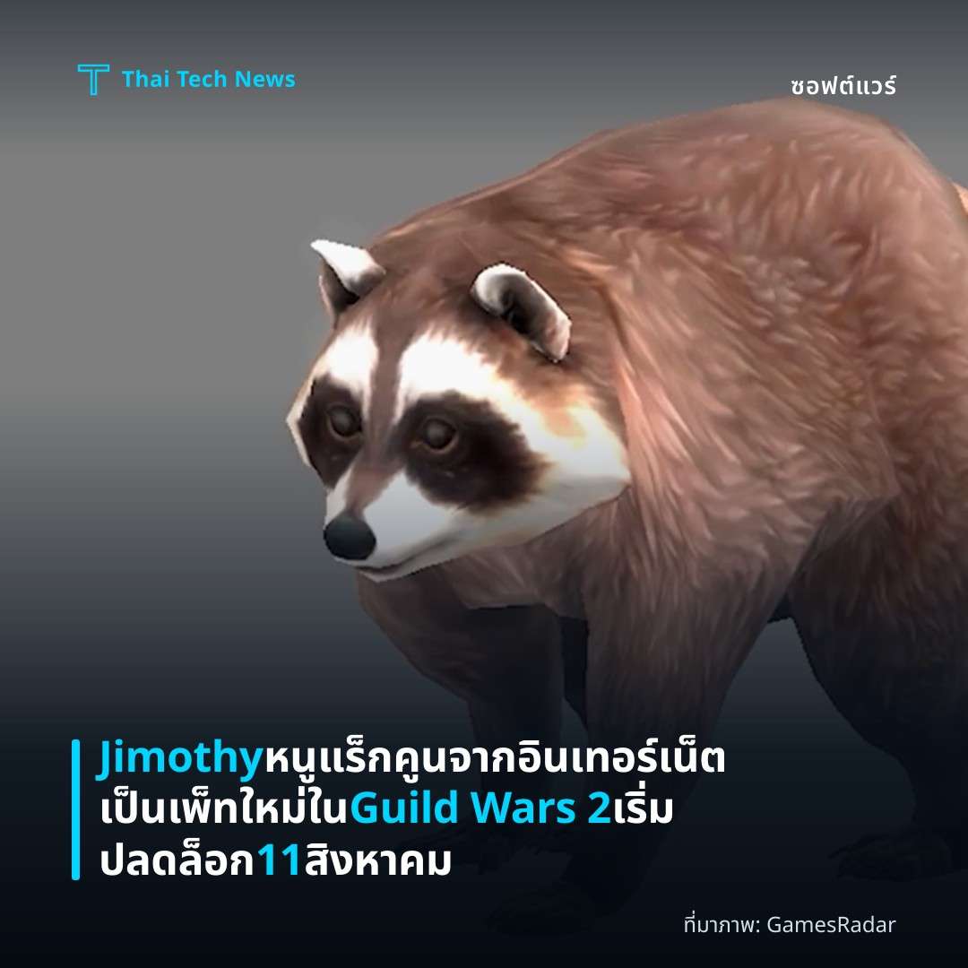 Jimothy หนูแร็กคูนจากอินเทอร์เน็ตเป็นเพ็ทใหม่ใน Guild Wars 2 เริ่มปลดล็อก 11 สิงหาคม