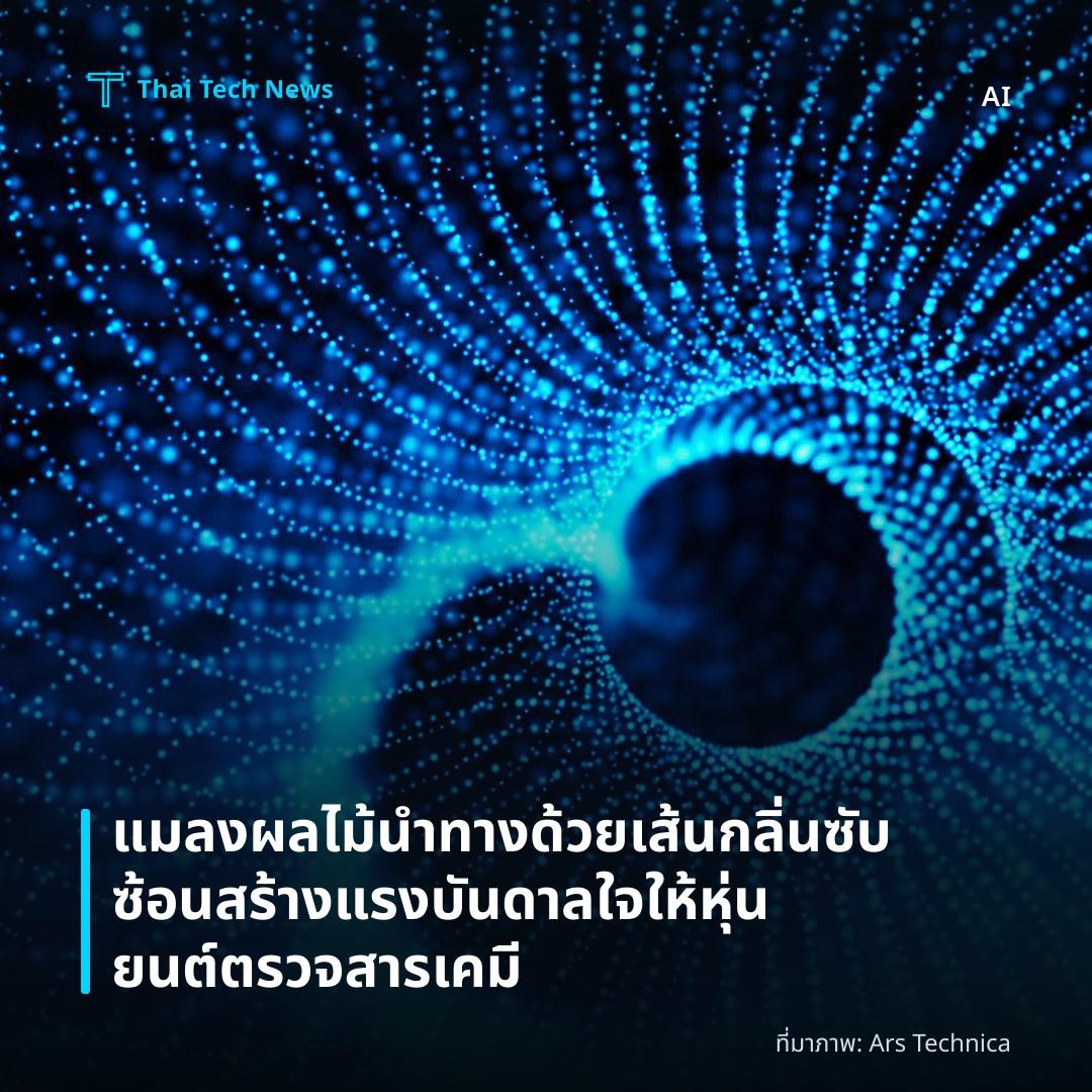 แมลงผลไม้นำทางด้วยเส้นกลิ่นซับซ้อน สร้างแรงบันดาลใจให้หุ่นยนต์ตรวจสารเคมี