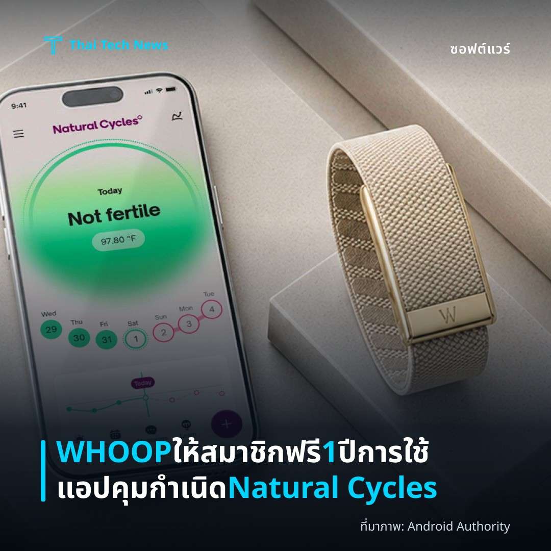 WHOOP ให้สมาชิกฟรี 1 ปีการใช้แอปคุมกำเนิด Natural Cycles